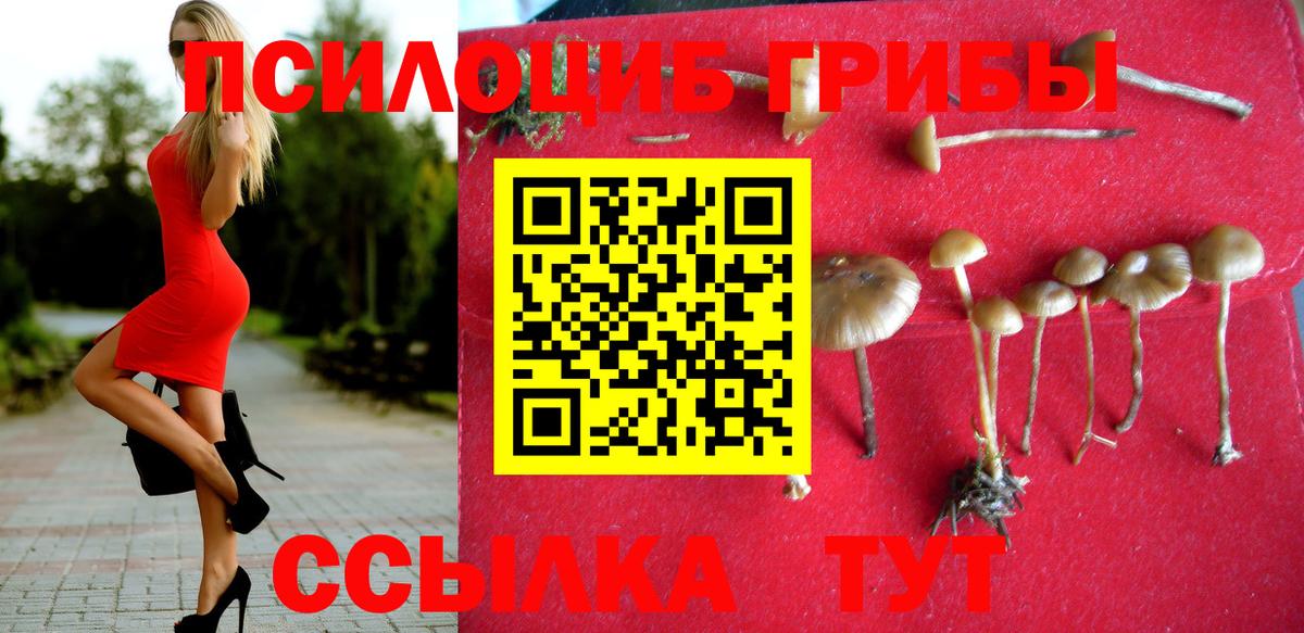 Галлюциногенные грибы мицелий Тобольск